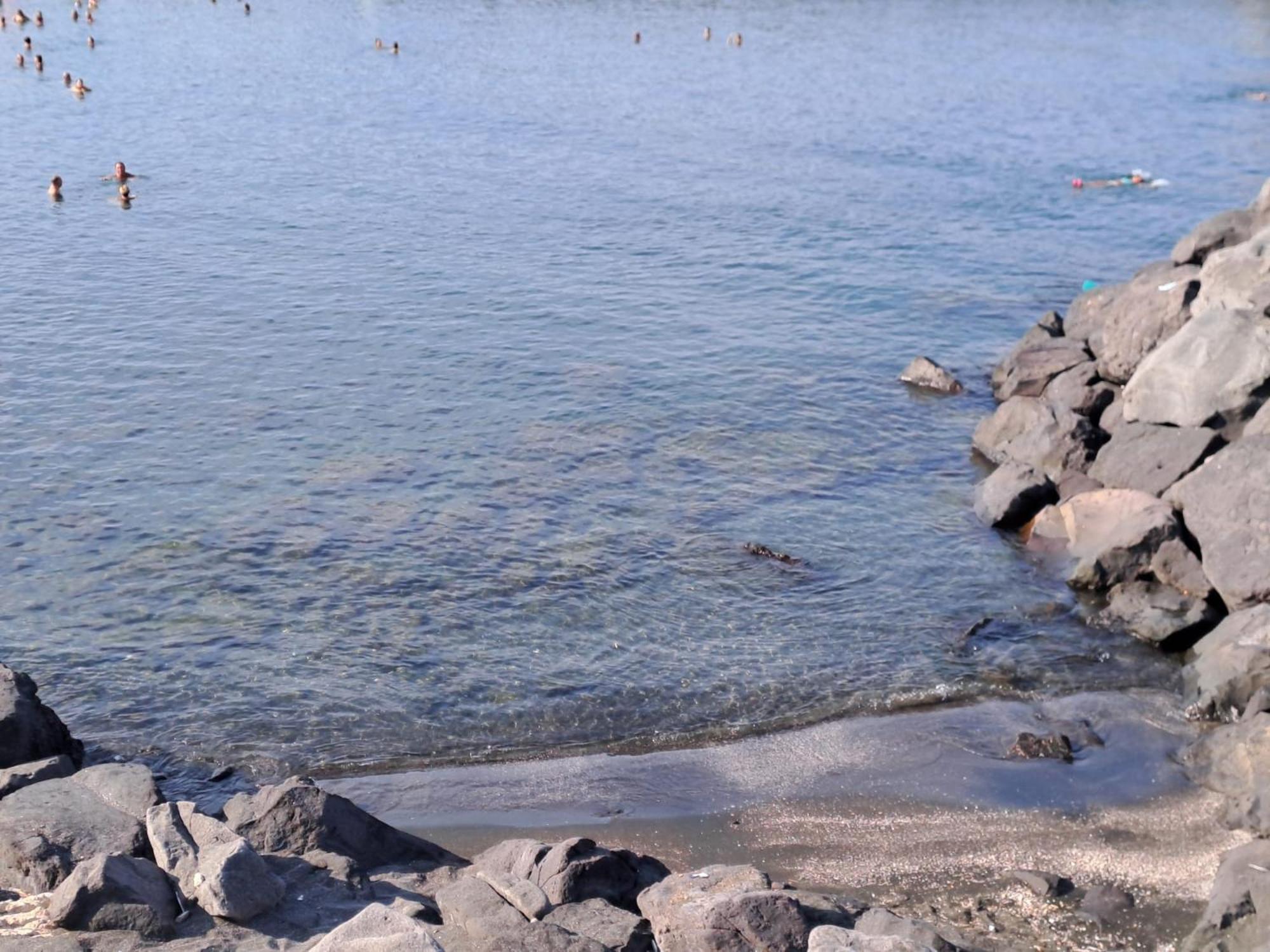 شقة Neapolis Bay بورتيشي المظهر الخارجي الصورة